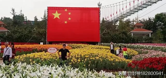 国庆休息这么多天,您会怎么过?